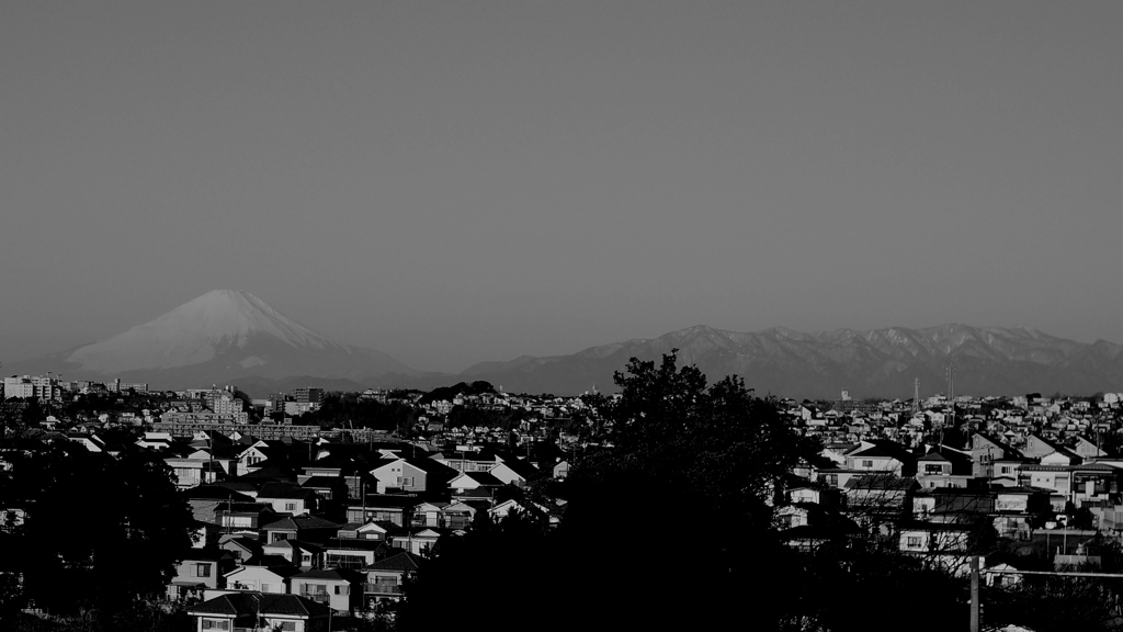 「Fuji from Yokohama 1/20」