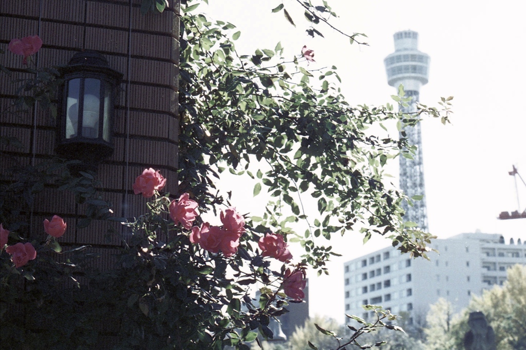 「マリンタワー」 (film)