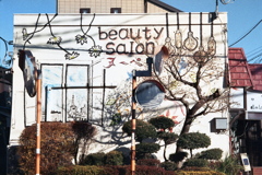 「beauty salon」 (fim)