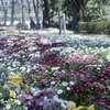 「花の園」 (film)