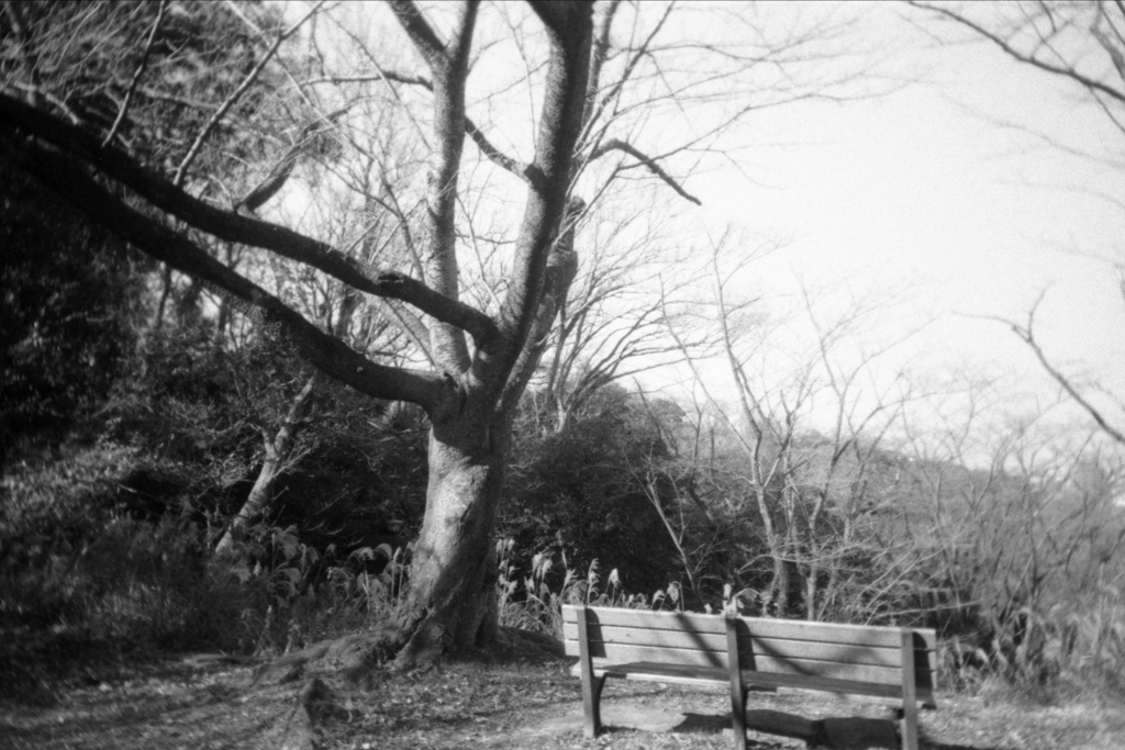 「冬公園」 (film)