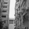 「the other side」 (film)