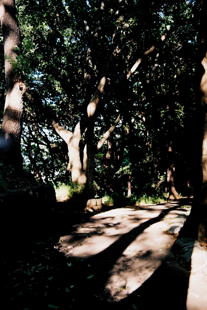 「Light & Shadow 01」 (film)
