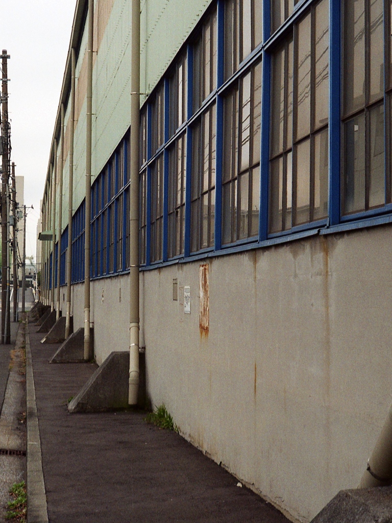 「Blue Windows」 (film)
