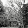 「冬公園」 (film)