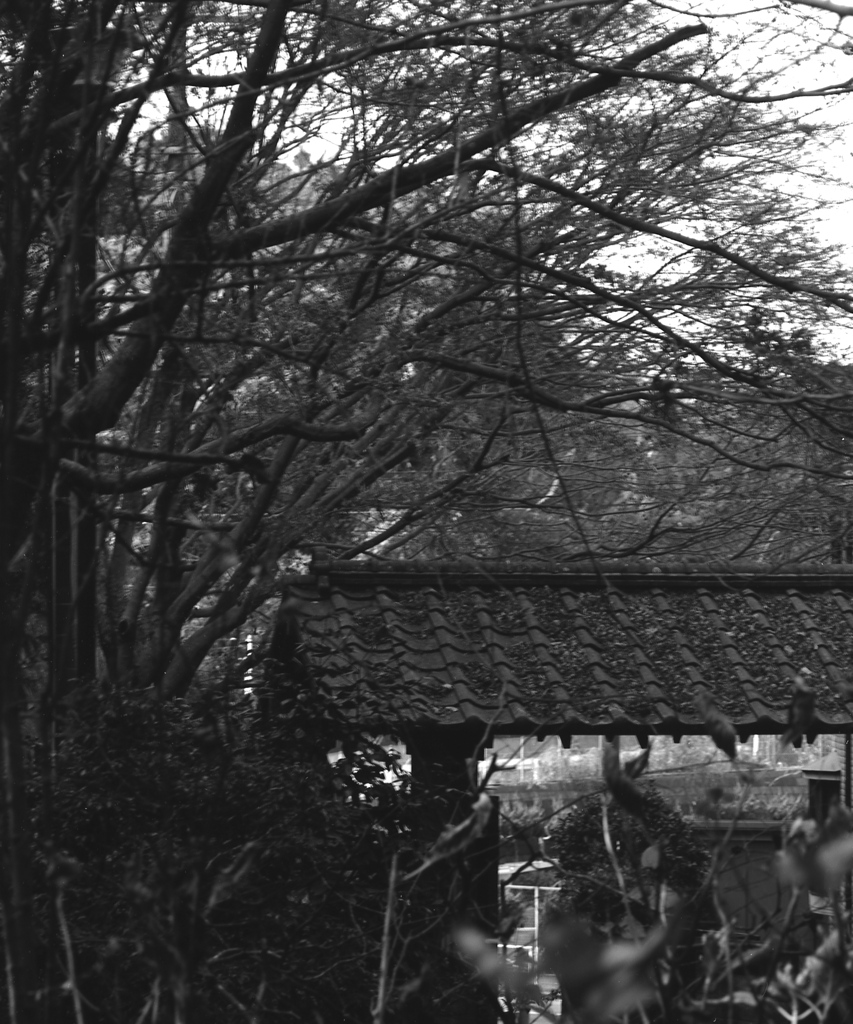 「久良岐能舞台 門」 (film:HR20)