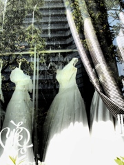 「dresses」 (digital)