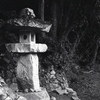 「鎮守の森」 (film)