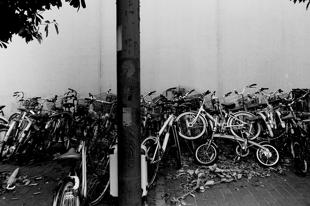 「End up: monochrome version」 (film)