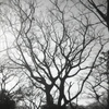 「冬公園」 (film)