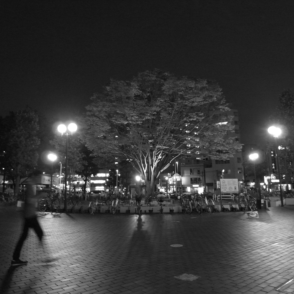 「7:30pm」