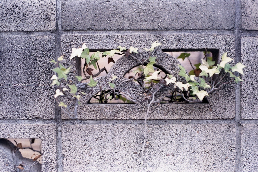 「ブロック塀」 (film)
