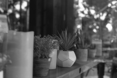 「display」 (film:HR20)