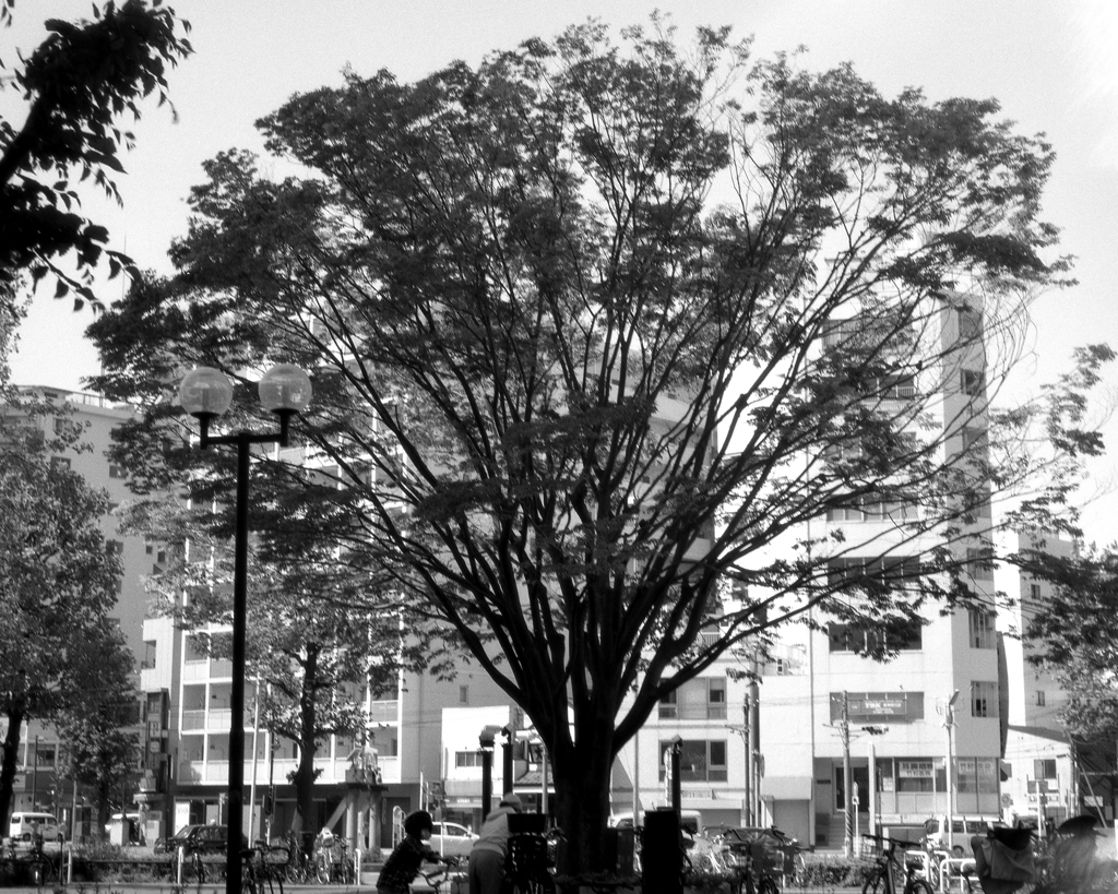 「東神奈川」 (film)