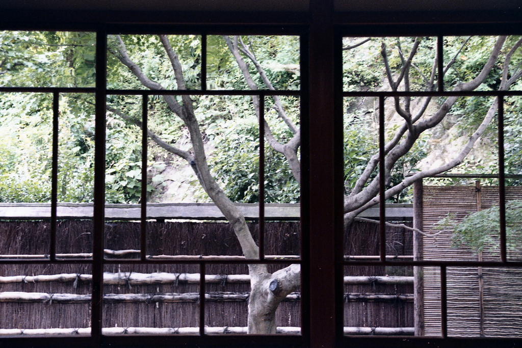 「8/11 三渓園にて」 (film)