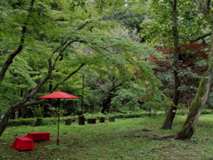 「久良岐能舞台 庭02」