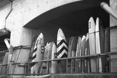 「boards」 (film)