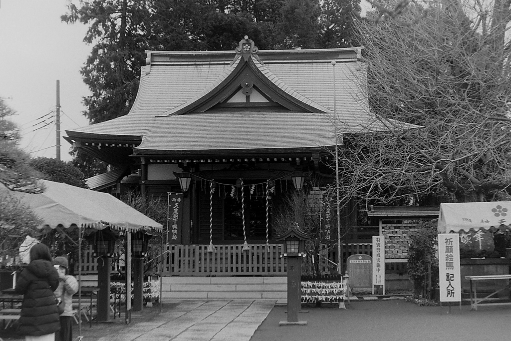 「02/02 街歩き09」 (film)