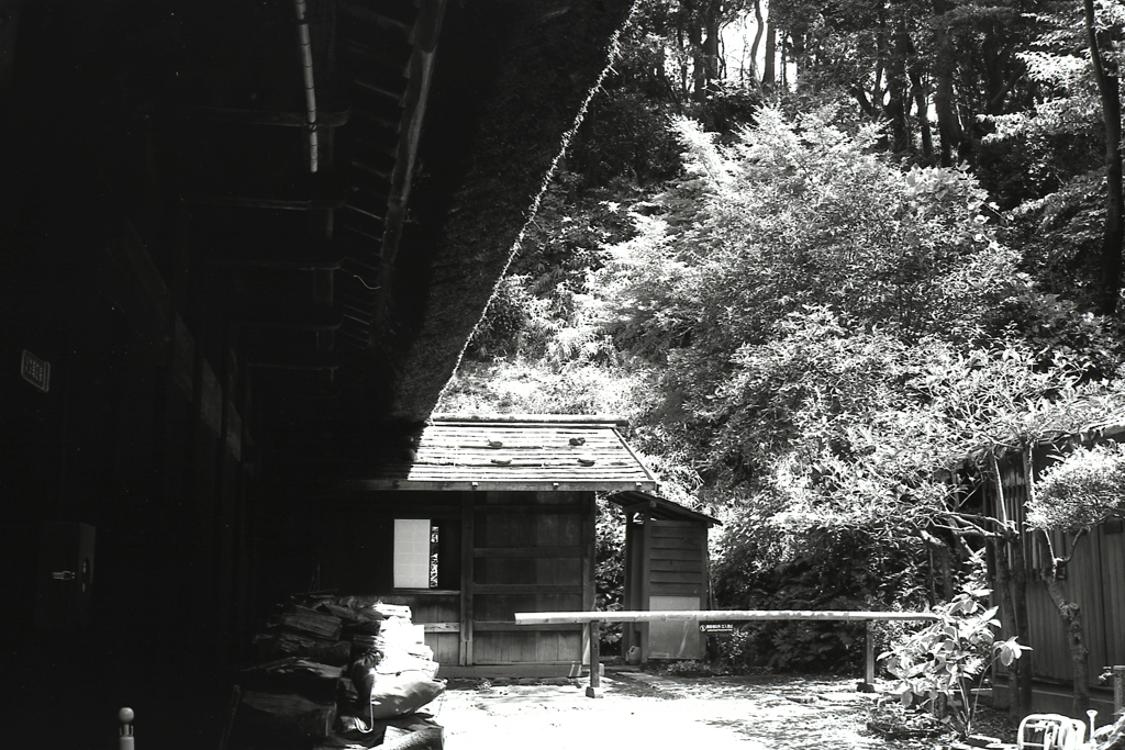 「8/11 三渓園にて」 (film:HR20)