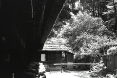 「8/11 三渓園にて」 (film:HR20)