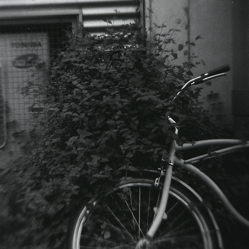 「Bike in Green」 (film)