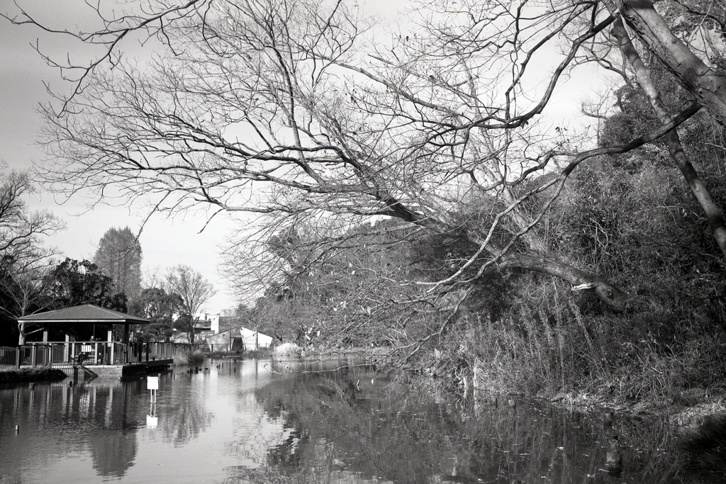 「冬公園」 (film)