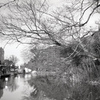 「冬公園」 (film)