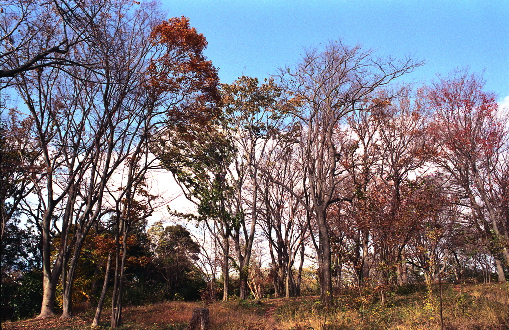 「autumn」 (film)