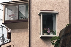 「window」 (film)