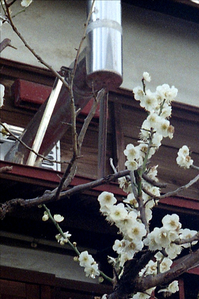 「2/19 街歩き07」 (film)