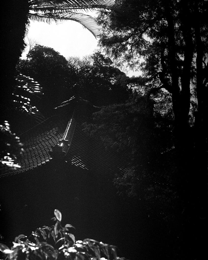 「寺」 (film)