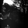 「寺」 (film)