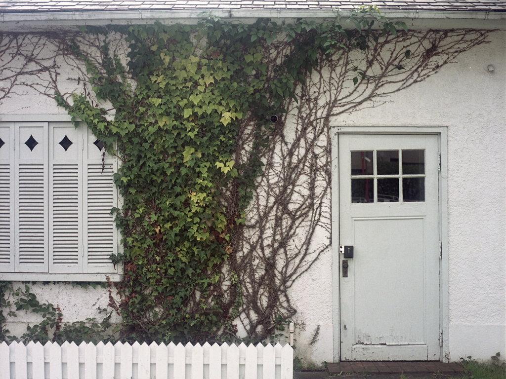 「HOUSE」 (film)