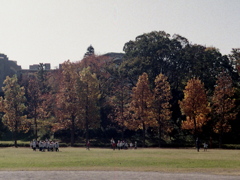 「autumn」 (film) 「autumn」 (film)