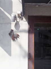 「toriromeo」 (film)
