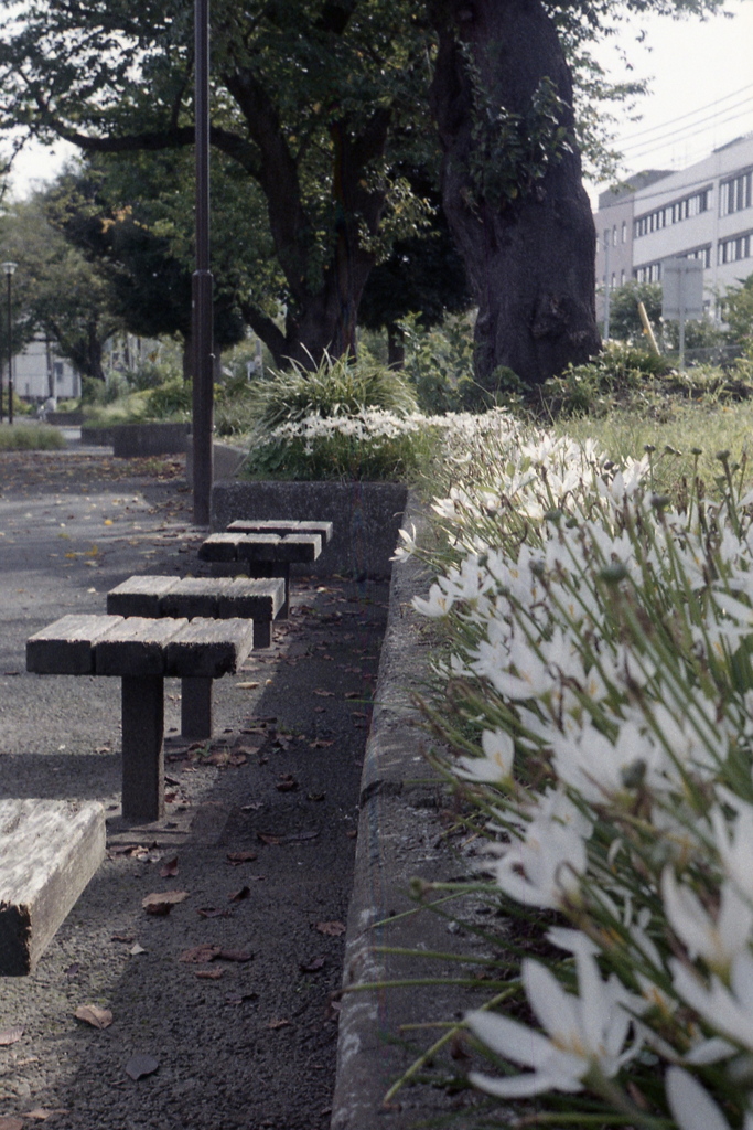 「公園」 (film)