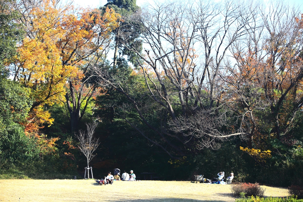 「冬公園」 (digital)
