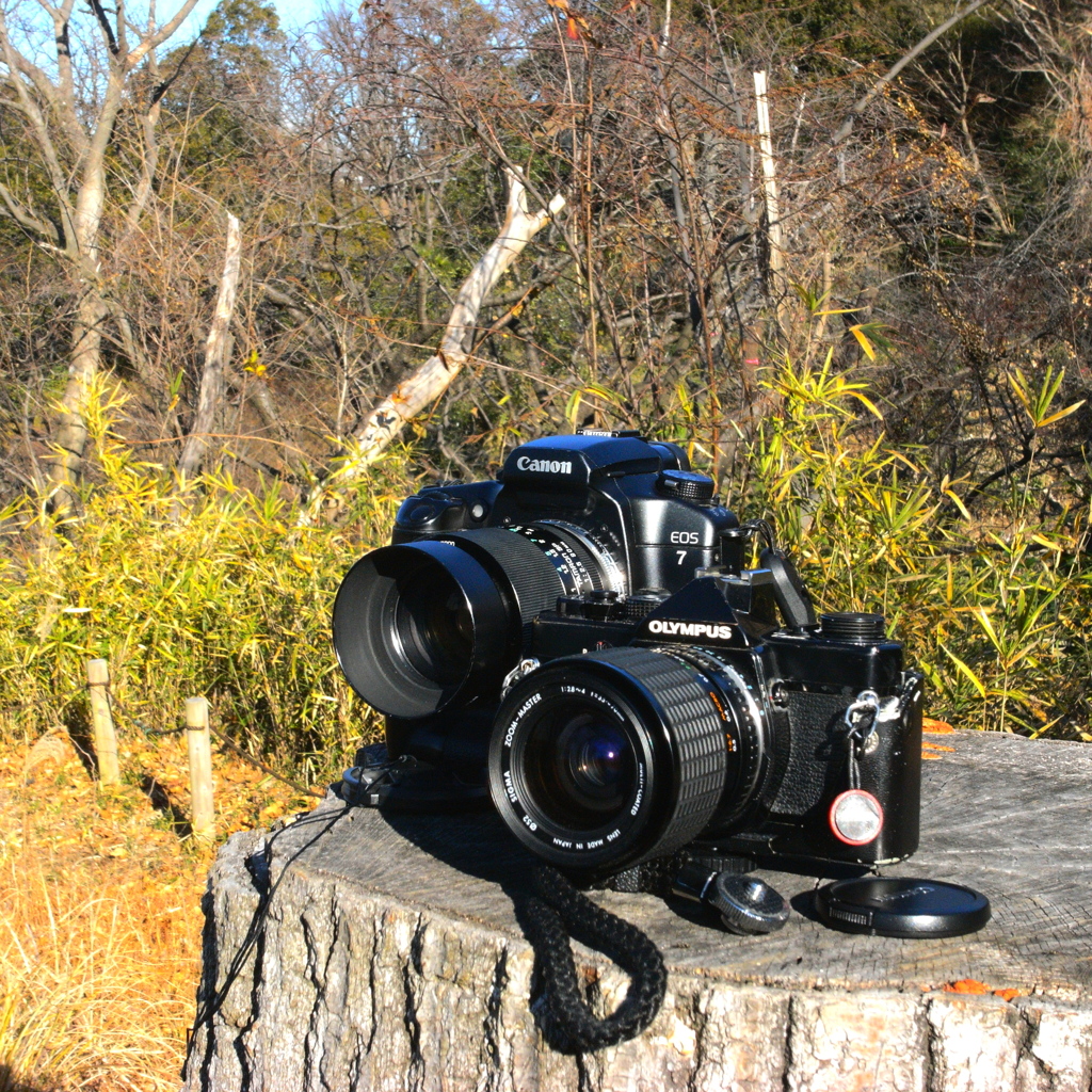 「今日はあったかい～～」 (digital)