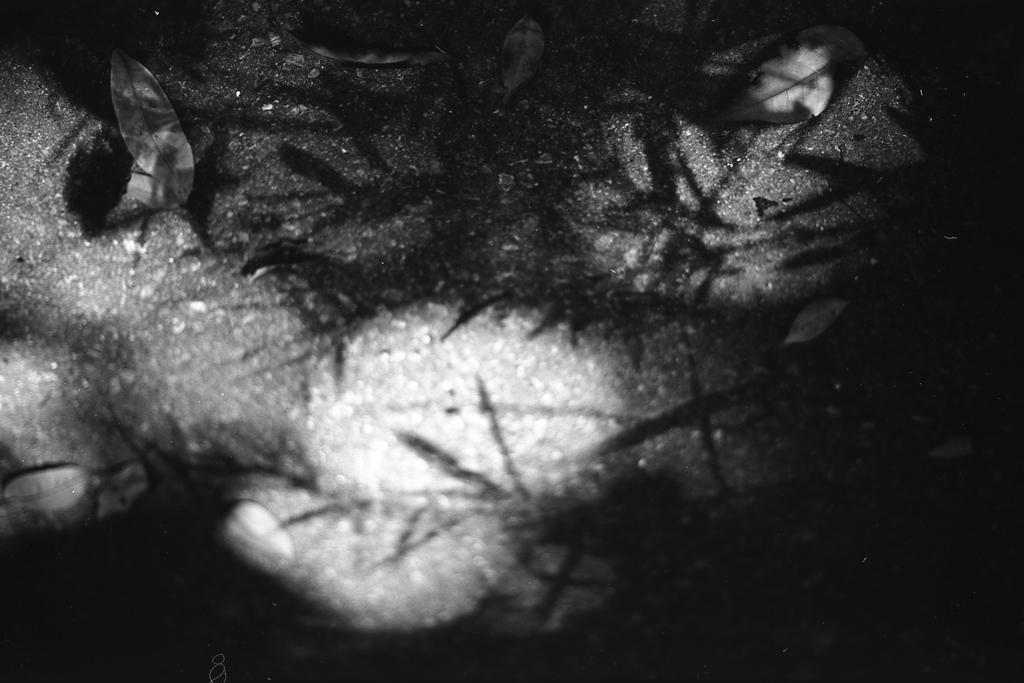 「射す光②」 (film:HR20)