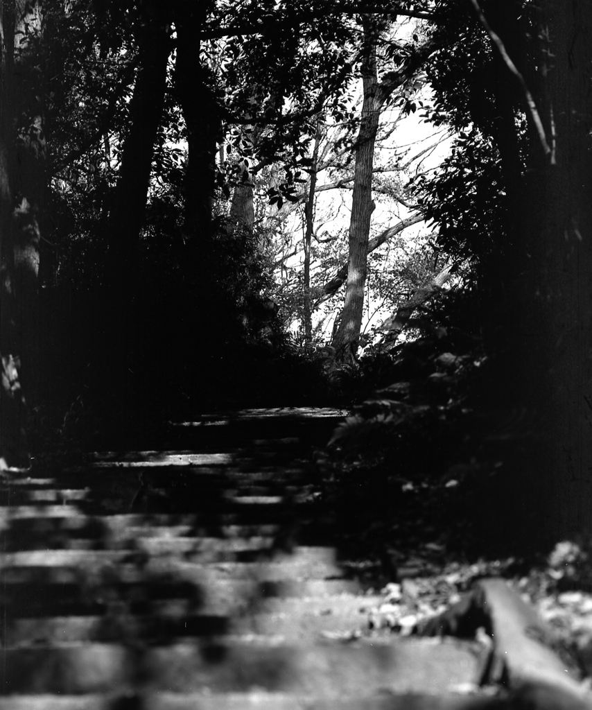 「winter silhouette」 (film:HR20)