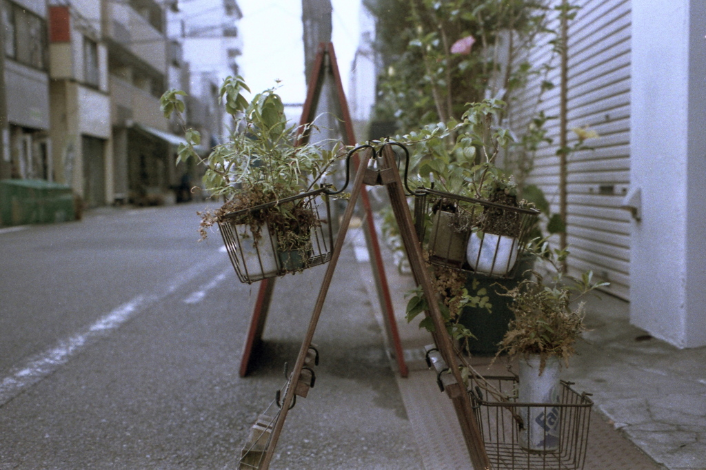 「店先plants」 (film)