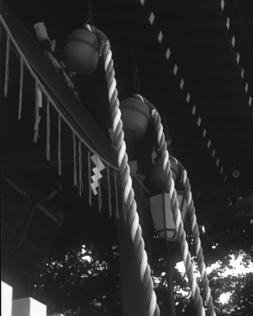 「天満宮」 (film:HR20)
