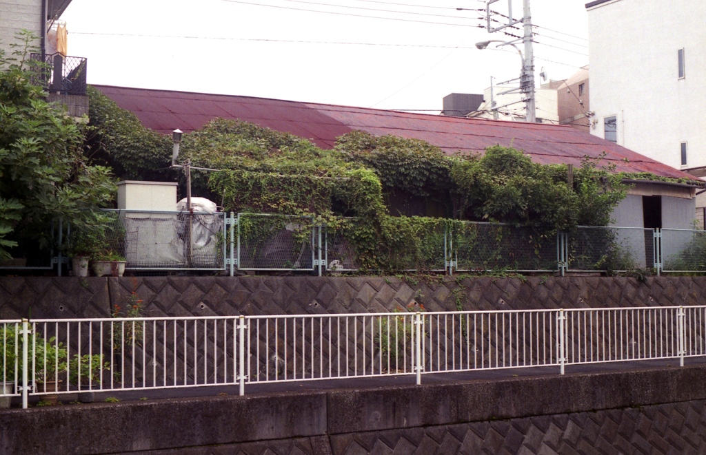 「planter house 04」 (film)