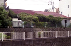 「planter house 04」 (film)