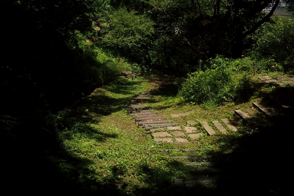 「7/18 散歩写真」 (digital)