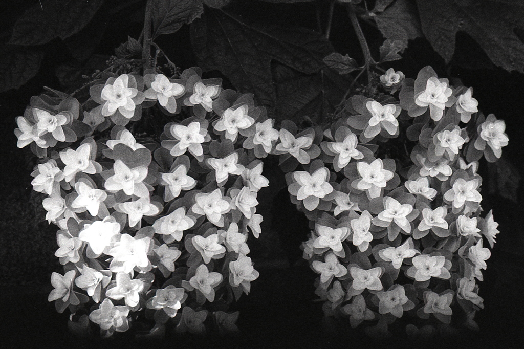 「6/27 monochrome」 (film)