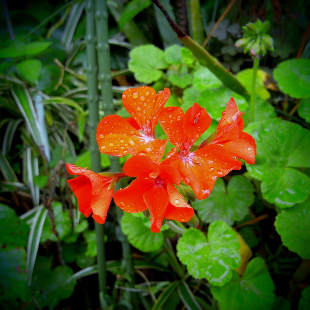 「07/06 小雨 04」