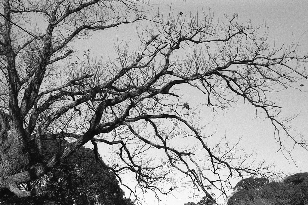 「冬公園」 (film)