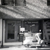 「Solish」 (film)
