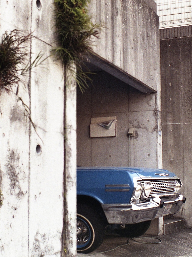 「blue vehicle」 (film)